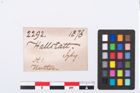 Etikett zu Bärenzahnanhänger (NHMW-PRAE-002292)